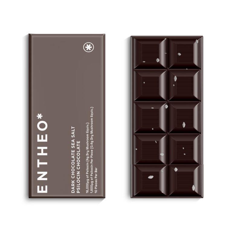 Dark Chocolate & Sea Salt Bar | 4 Grams