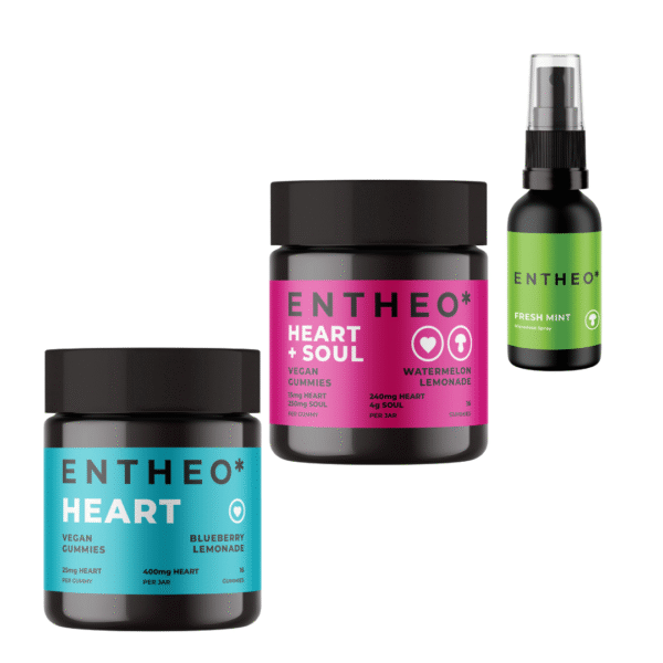 Fan Favorites Bundle - SALE
