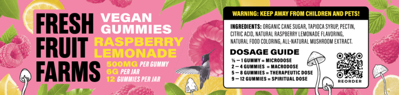 Fresh Fruit Farms Raspberry Lemonade Gummies - Image 4