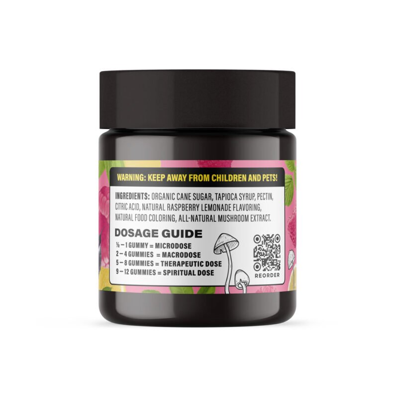 Fresh Fruit Farms Raspberry Lemonade Gummies - Image 3